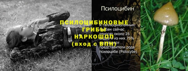 кокаин Алексеевка
