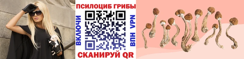 Галлюциногенные грибы прущие грибы  как найти   МЕГА маркетплейс  Беломорск 